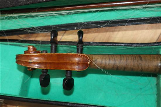 A cased two-piece back violin